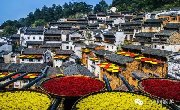 中国最美秋色TOP5 流光溢彩的金色天堂