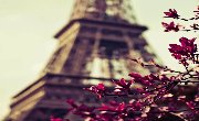 欧洲旅行10件浪漫事