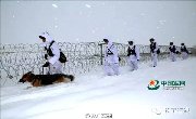 新疆塔城积雪厚度破历史极值 喀纳斯雪景美到爆