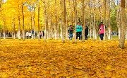 兰州秋天的“艳照门”！很黄！很勾魂！！！