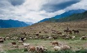 新疆101省道，深藏了天山深处最美的风光！新疆人自己也不知道