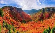 美在身边 | 色彩缤纷的十月，没想到中条山竟美成了这样！！
