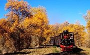 新疆最美风景，一直在路上！