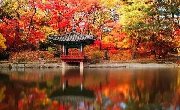 去这些人少景美的地方，邂逅最美的秋日韩国