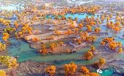 新疆塔里木河畔