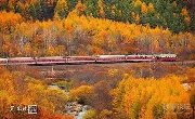 秋景| 这列开往长白山的绿皮火车，风景美到不敢眨眼睛！