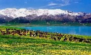 新疆人公认最值得去的20个美景圣地！犹如仙境！