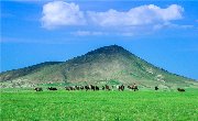 敕勒川，阴山下，塞外绮丽之乌拉特草原