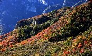 【旅游百事通】登顶太行山，寻宝王莽岭——王莽岭一日游