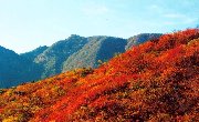 万山红遍，只看嵩山