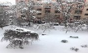 新疆的大雪再次刷爆朋友圈 !但,比这更美的竟是...