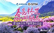 2017西藏林芝桃花节 | 寻访最美丽的春天 ??