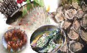 【CECH02】豪嘆三大私房菜【花雕醉雞+大魚聚寶盤】【任食紫菜浸生蠔+每人半只吮指燒春雞】東莞《維也納酒店》2天