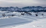 羊娃子锅里炖的呢，儿娃子山里住的呢！