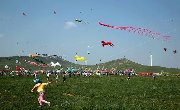 世界最大风筝将亮相宜昌！百里荒首届国际风筝旅游节3月3日精彩启幕！