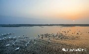 “雷池湿地 候鸟天堂”——省旅游摄影协会会员作品欣赏（一）