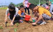 北京最in亲子好去处，能溜娃还能当“地主”！