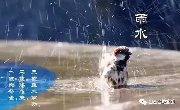 倒春寒，晋城未来几天雨雨雨+大风！（激动的是：今日起恢复供暖！）