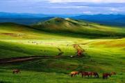 中国最美9大草原，总有一个你想去的！