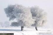 【摄影】浓雾雪景的三大拍摄技法