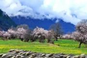 四月，去西藏，赴一场桃花之约