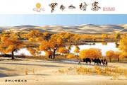 尼格买提：“新疆最美的不光是风景，还有人！”