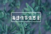 清明节，你想起了谁