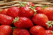 重庆人注意！草莓大量上市，但这3种千万买不得！