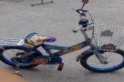 上海 | 两轮儿童自行车不能进长寿公园？园方：担心撞人！