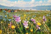 新疆，摄影师最爱的净土!