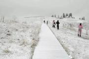 【一日两景】属于那拉提盘龙谷道的第一场雪
