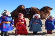 关注 | 乌拉特后旗冬季骆驼那达幕大会即将举办，攻略在这儿！