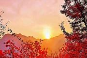 太行山大峡谷的秋天那么近，那么美......