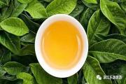 禅茶一味：四季饮茶之道