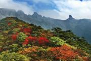 贵州此地上榜“全球最美赏枫地”！是时候去一睹芳容了！