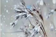 惊艳！云梦山景区迎初雪，银装素裹共长天一色！