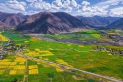 西藏规模最大的藏王墓群，看上去像几个「土丘」？