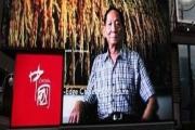 袁隆平被骂上热搜，杨超越当选“年度人物”：这是对14亿国人最大的羞辱