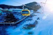 新疆首条高速缆车开通 高山滑雪和高山旅游开起加速度 ​