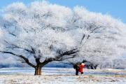冬天不去旅行，你将错过整个中国。