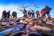 龙江专属十一大冰雪玩法丨冰雪天地鱼满仓，在黑龙江冰钓冬捕那绝对是一件带劲的事！
