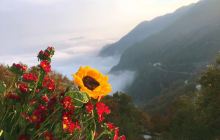 百花谷风景区