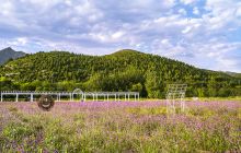 房山百花山景区景点