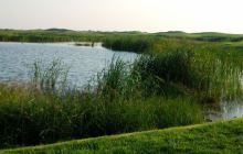 曹妃甸湿地国际高尔夫球会景点