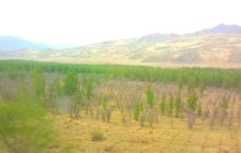 科尔沁沙地生态示范区