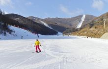 美林谷滑雪场景点