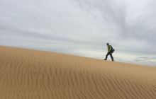 库布其沙漠公园(七星湖旅游专线)景点