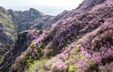 大黑山景点