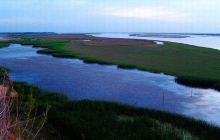 黄河湿地国家级自然保护区景点