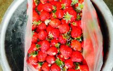 草莓采摘园(郑州黄河滩店)景点